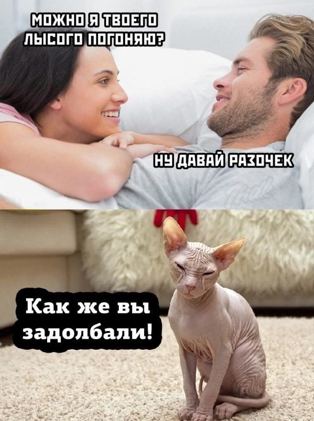 Как же вы задолбали