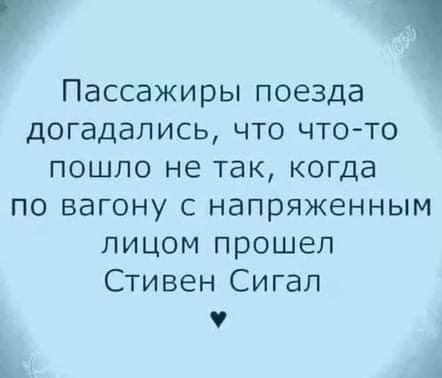 1 Пассажиры поезда догадались что что то пошло не так когда по вагону с напряженным лицом прошел Стивен Сигал
