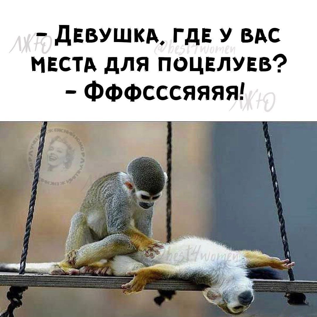 ДЕВУШКА ГДЕ У вм МЕСТА для поцвлувв Фффсссяяяя