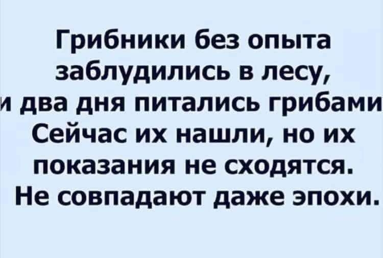Грибники без опыта заблудились в лесу и два дня питались грибами Сейчас их нашли но их показания не сходятся Не совпадают даже эпохи