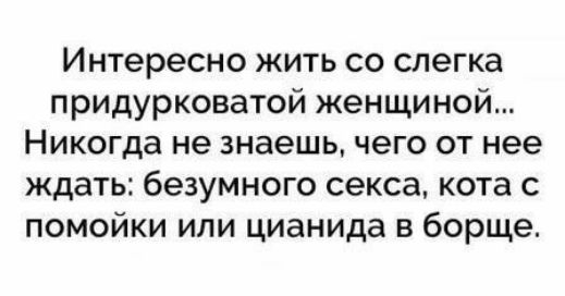 Интересно жить со слегка придурковатой женщиной Никогда не знаешь чего от нее ждать безумного секса кота с помойки или цианида в борще