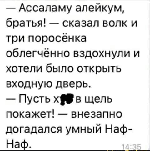 Ассаламу алейкум братья сказал волк и три поросёнка облегчённо вздохнули и хотели было открыть входную дверь Пусть хв щель покажет внезапно догадался умный Наф Наф