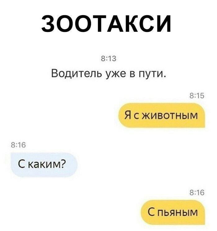 ЗООТАКСИ 813 ВОДИТеЛЬ уже В ПУТИ 8215 816 С каким
