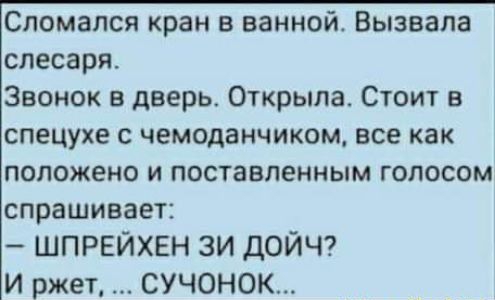 Сломался кран в ванной Вызвала слесаря Звонок в дверь Открыла Стоит в спецухе с чемоданчикем все как положено и поставленным голосом спрашивает ШПРЕЙХЕН зи ДОЙЧ И ржет СУЧОНОК