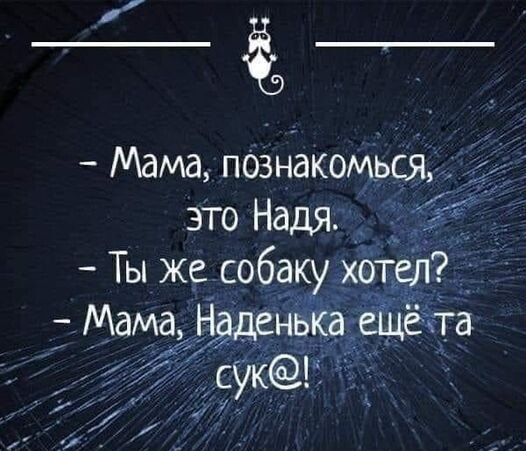 это Надя Ты же собёку хот__у _ ама Н