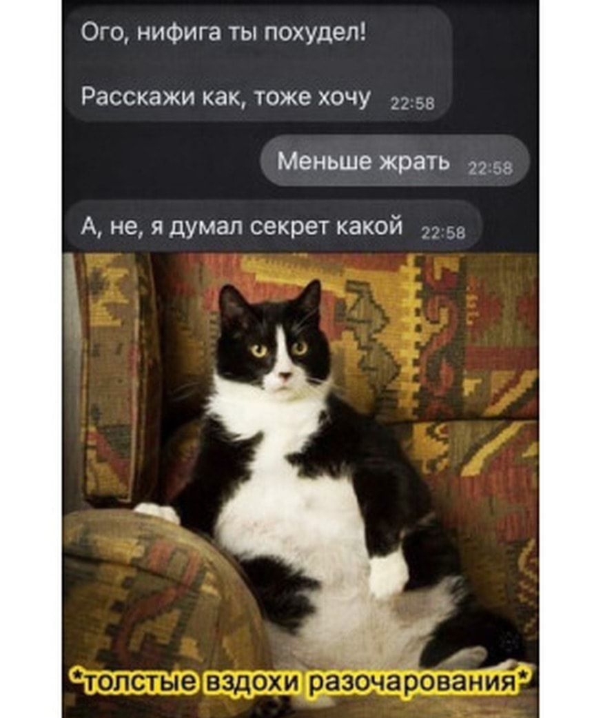 Ого нифига ты похудел Расскажи как тоже хочу 55 Меньше жрать А не я думал секрет какой