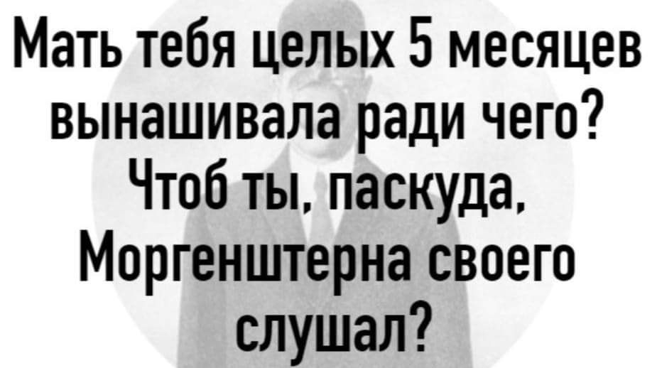Мать тебя целых 5 месяцев вынашивала ради чего Чтоб ты паскуда Моргенштерна своего слушал