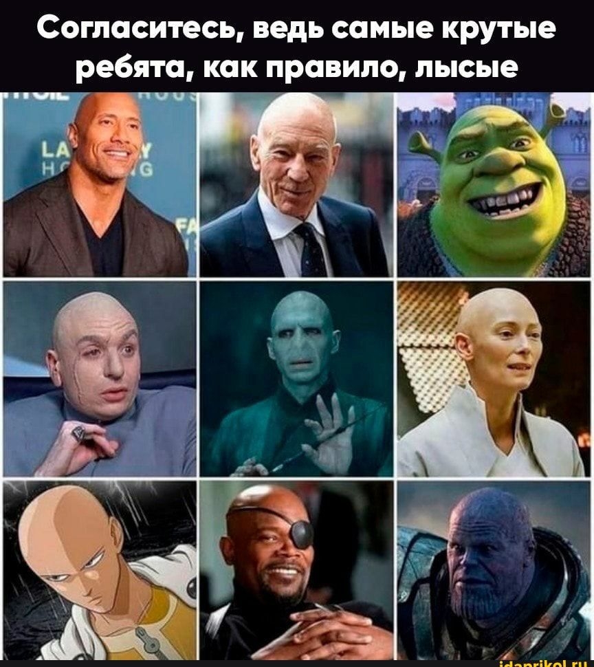 Согласитесь ведь самые крутые ребята как правило лысые
