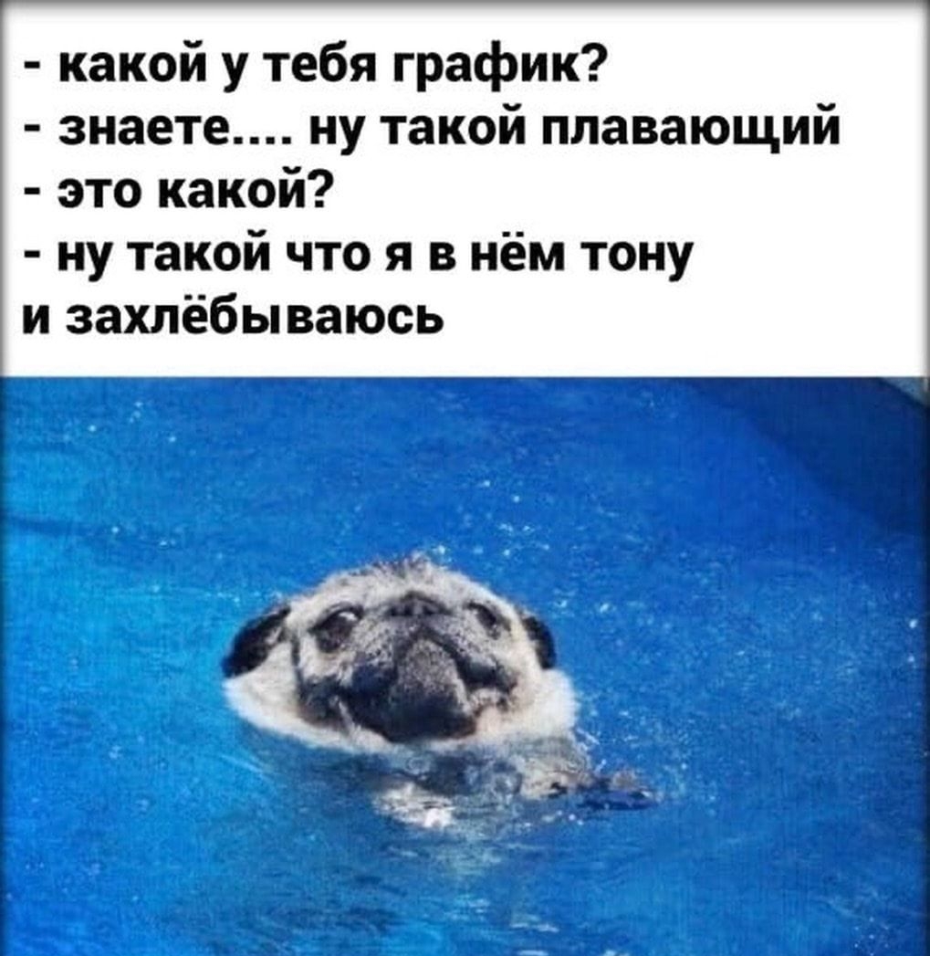 какой у тебя график знаете ну такой плавающий это какой ну такой что я в нём тону и захлёбываюсь