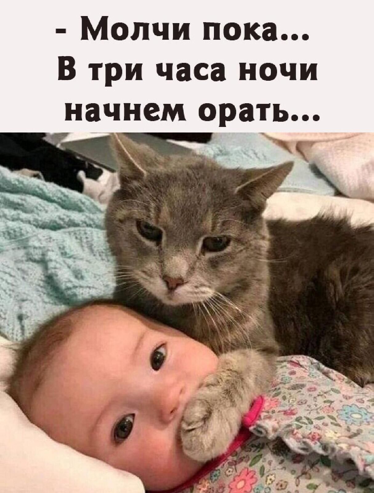 Молчи пока В три часа ночи
