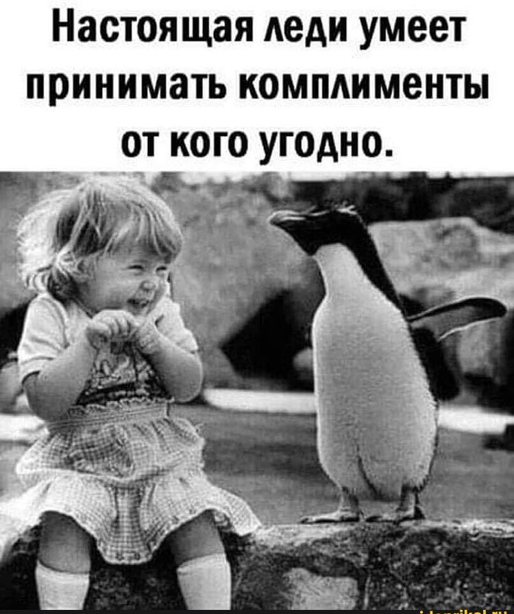 Настоящая Аеди умеет принимать компдименты от кого угодн_о