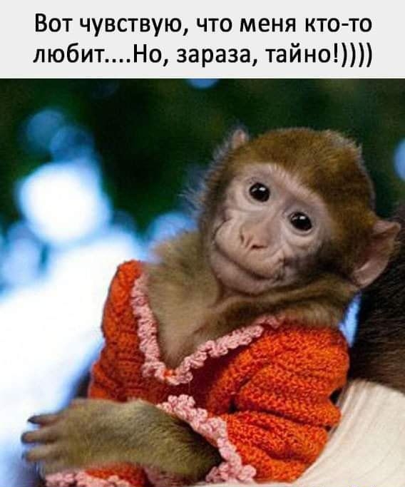 Вот чувствую что меня кто то любитНо зараза тайно