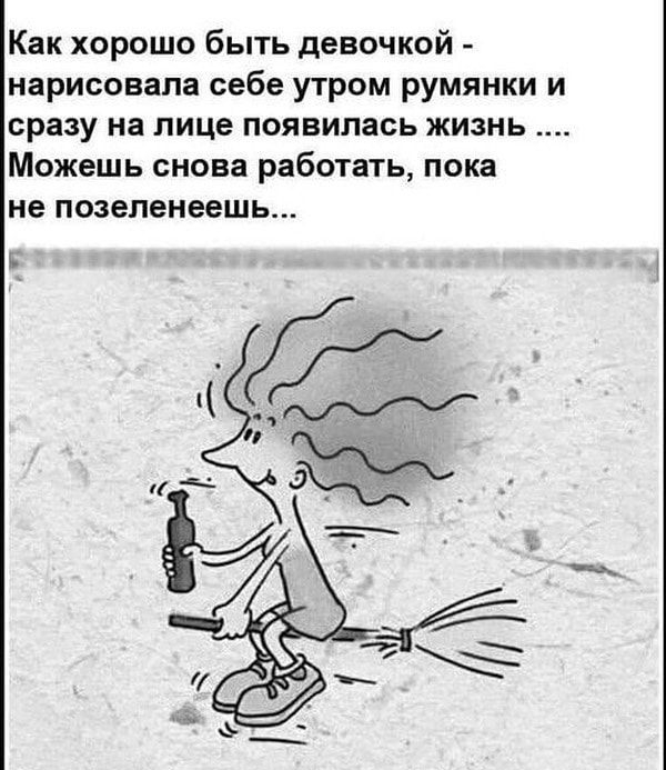 Как хорошо быть девочкой нарисовала себе утром румянки и сразу на лице появилась жизнь Можешь снова работать пока не позеленеешь