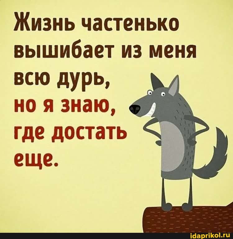 Жизнь частенько вышибает из меня всю дурь но я знаю где достать еще