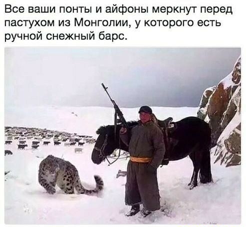 Все ваши понты и айфоны меркнут перед пастухом из Монголии у которого есть ручной снежный барс і
