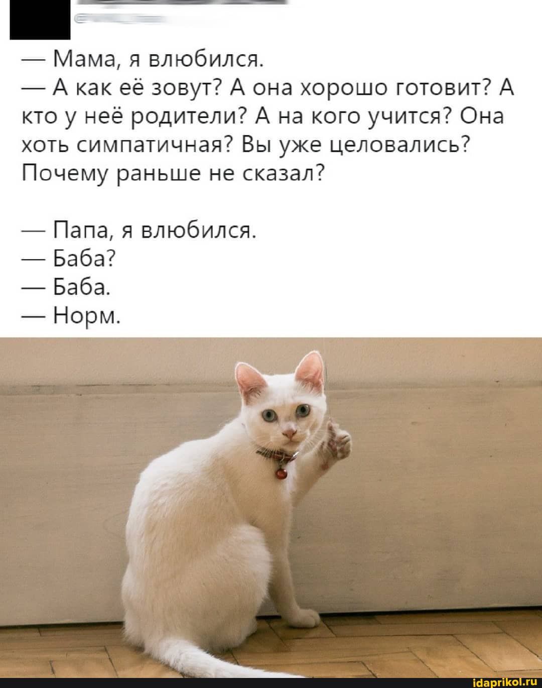 Мама я влюбился А как её зовут А она хорошо готовит А кто у неё родители А на кого учится Она хоть симпатичная Вы уже целовались Почему раньше не сказал Папа я влюбился Баба Баба Норм ісіаргіКоЫц