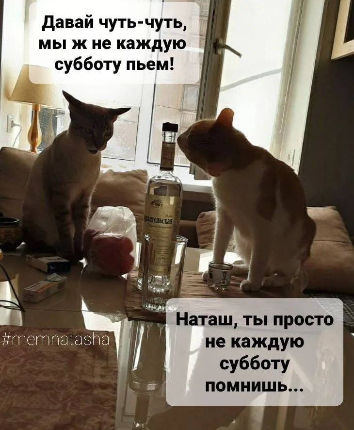 давай чуть чуть мы ж не каждую субботу пьем Наташ ты просто тетпагазта не каждую субботу ПОМНИШЬ
