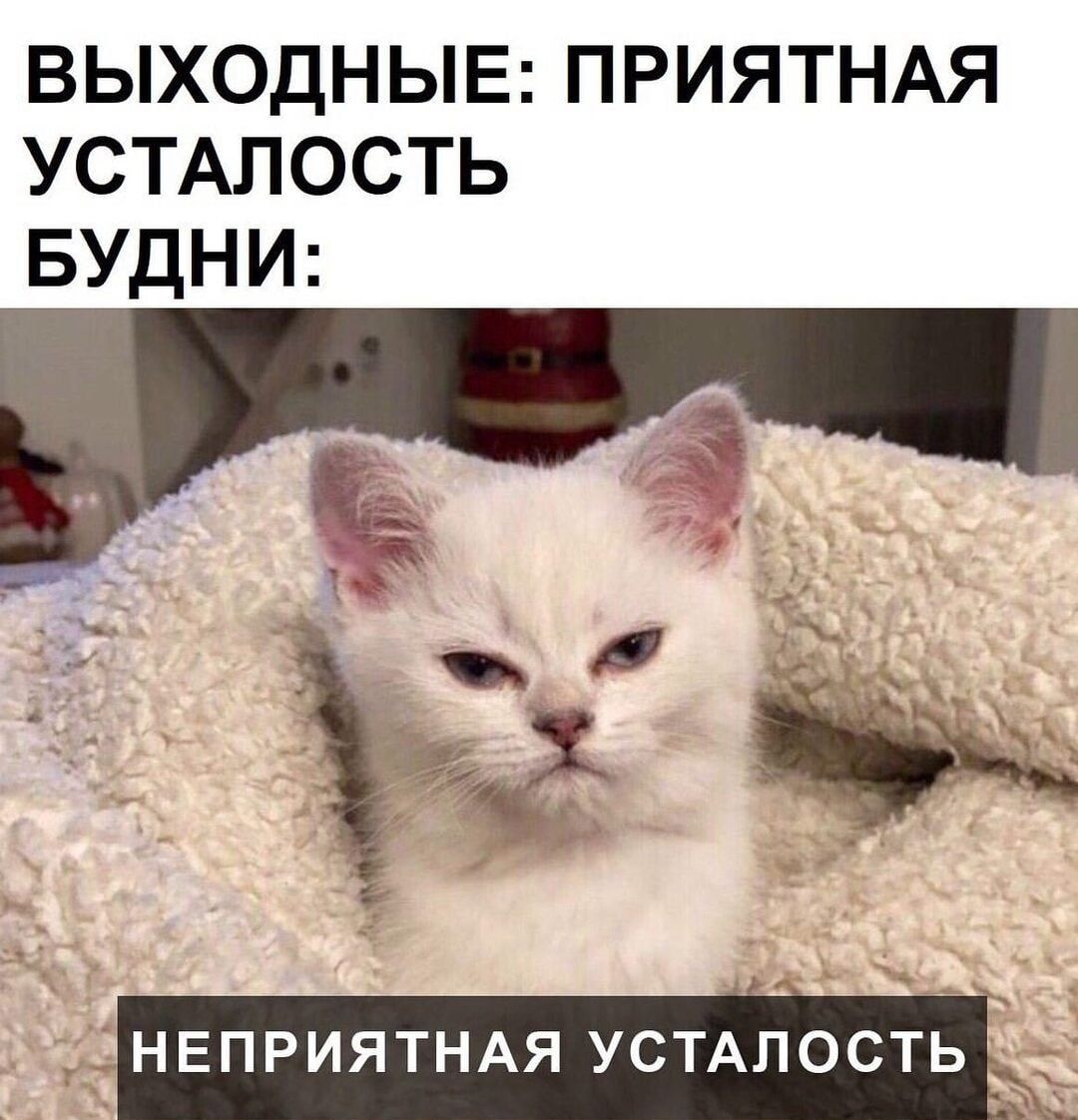 ВЫХОДНЫЕ ПРИЯТНАЯ УСТАПОСТЬ БУДНИ