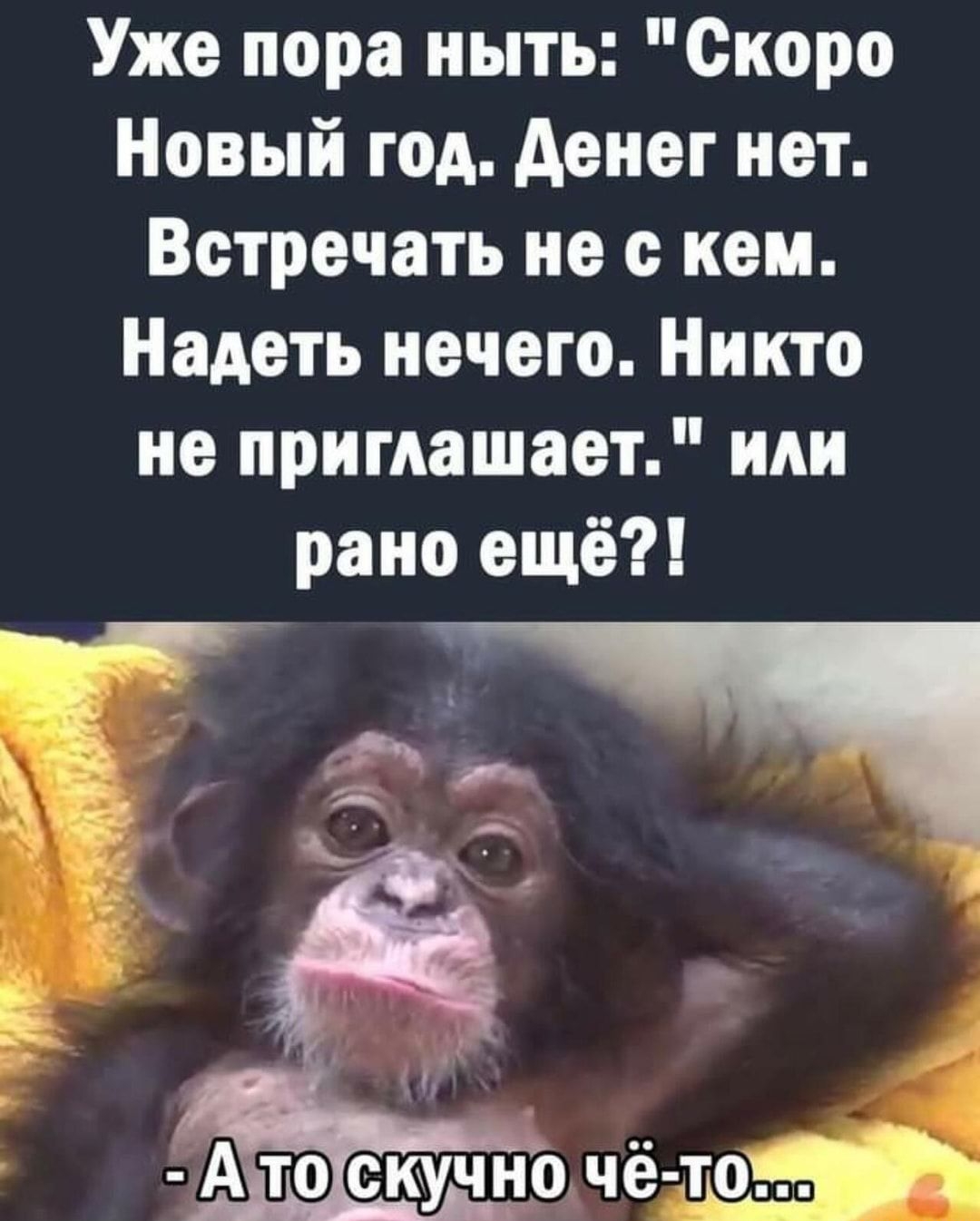 Уже пора ныть Скоро Новый год денег нет Ветречать не с кем Надеть нечего Никто не приглашает ми рано ещё