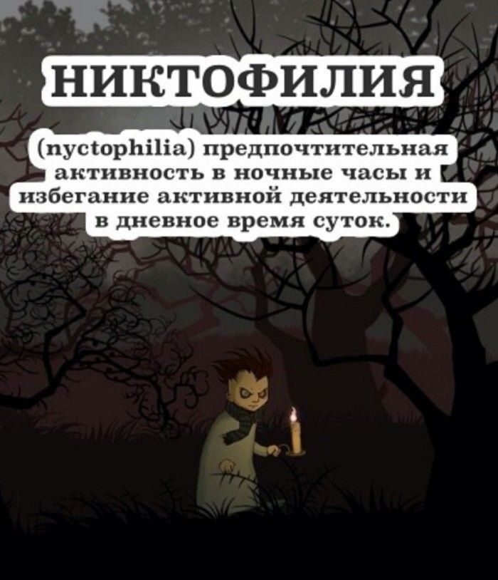 пусіорЬіііа предпочтительная активность в ночные часы и избегание активной деятельности в дневное время суток