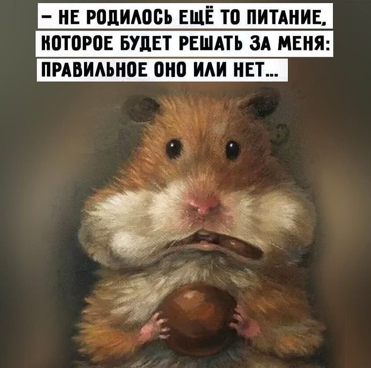 НЕ Родиюсь ЕЩЁ то пипнив ноторов БУДЕТ РЕШАТЬ зд МЕНЯ _ пивимнон ОНО ИАИ НЕТ