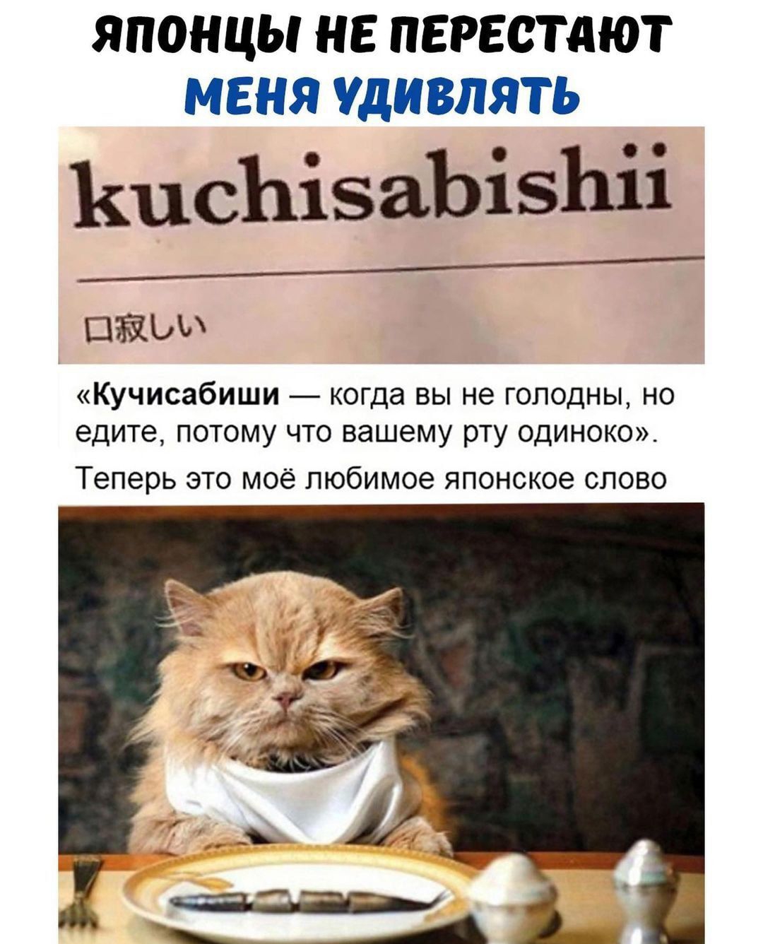 ЯПОНЦЫ НЕ ПЕРЕСТАЮТ МЕНЯ УДИВЛЯТЬ ЪшсЬізаЬізЬіі ПЁЫА Кучисабиши когда вы не голодны но едите потому что вашему рту одиноко Теперь ЭТО МОё любимое японское СЛОВО