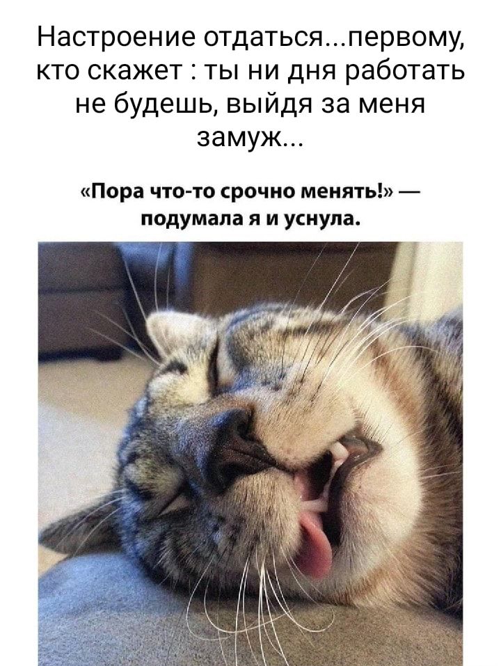 Настроение отдатьсяпервому кто скажет ты ни дня работать не будешь выйдя за меня замуж Пора что то срочно менять подумала я и уснула
