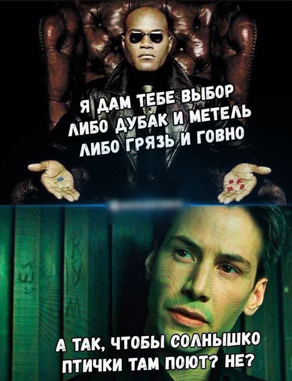 А тАк чтовыердшяшцо птички тАм поюітгг нв
