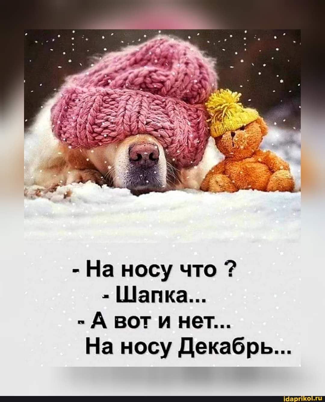 На носу что Шапка А вот и нет На носу Декабрь