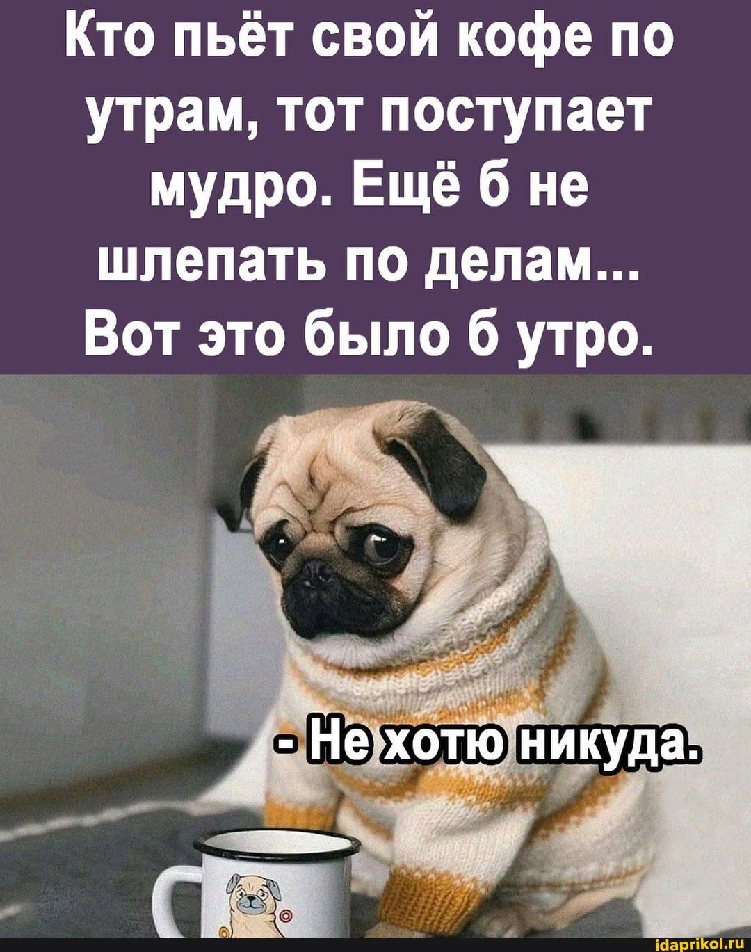 Кто пьёт свой кофе по утрам тот поступает мудро Ещё б не шлепать по делам Вот это было б утро