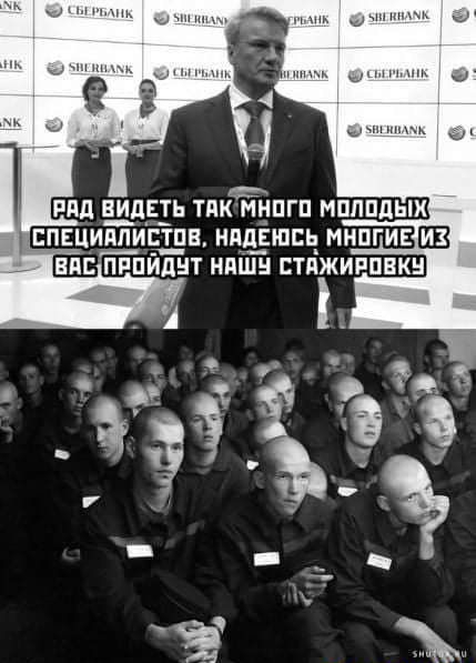 ди пнм