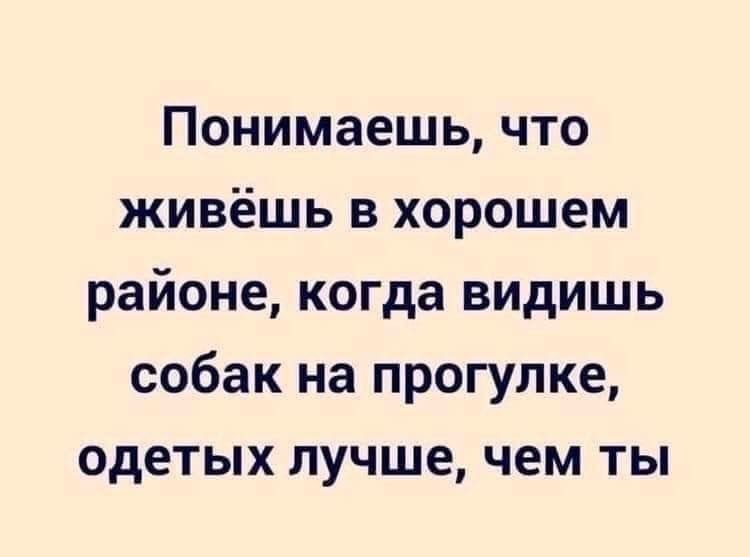 Понимаешь что живёшь в хорошем районе когда видишь собак на прогулке одетых лучше чем ты