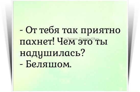 От тебя так приятно пахнет Чем Это ты надушилась Беляшом