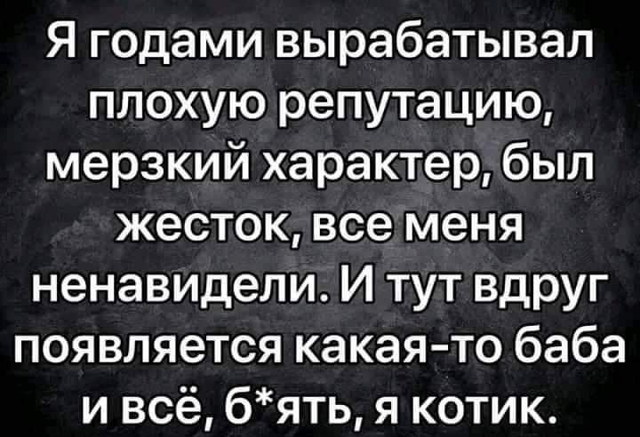 Я годами вырабатывал плохую репутацию мерзкий характер был жесток все меня ненавидели И тут вдруг появляется какаято баба и всё бять я котик