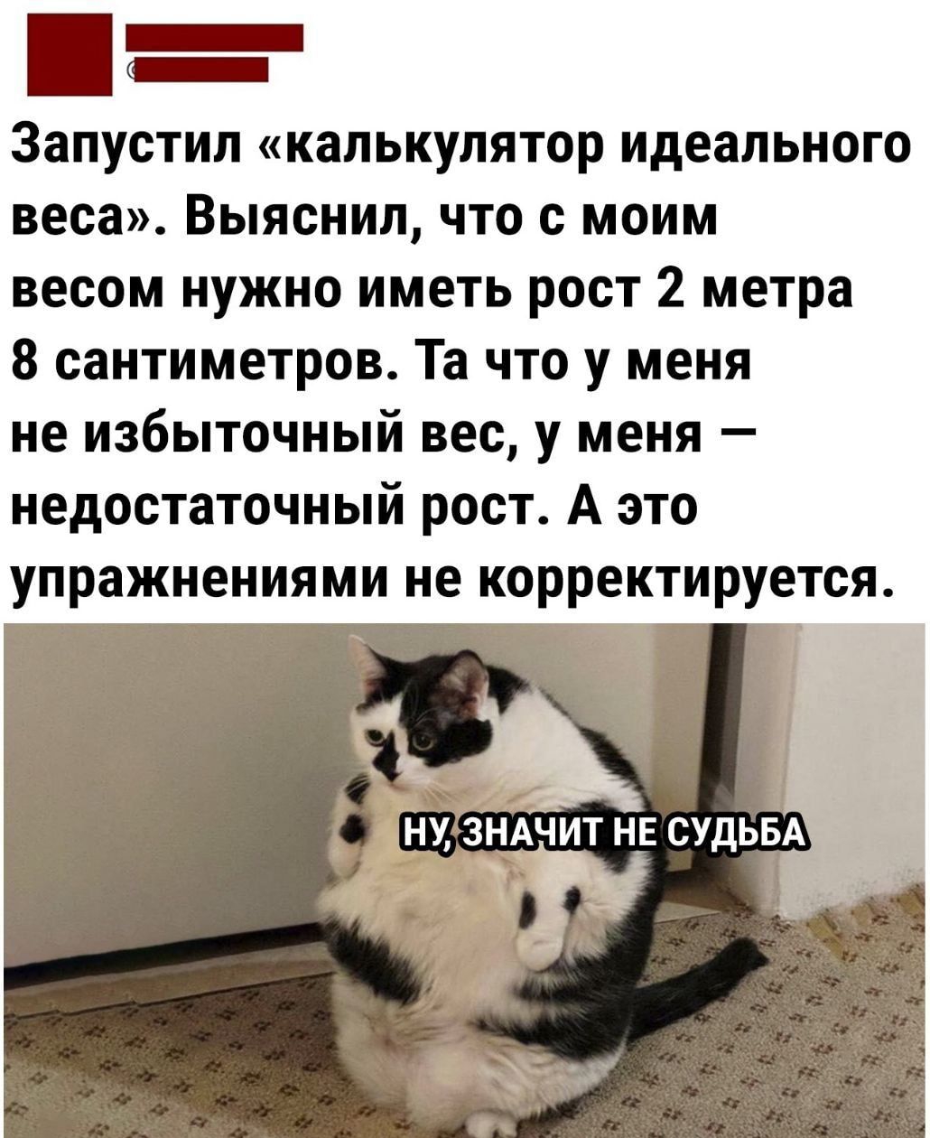 Запустил капькулятор идеального веса Выяснил что с моим весом нужно иметь рост 2 метра 8 сантиметров Та что у меня не избыточный вес у меня недостаточный рост А это упражнениями не корректируется