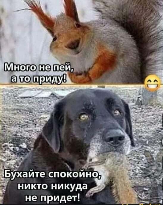 никто никуда не придет