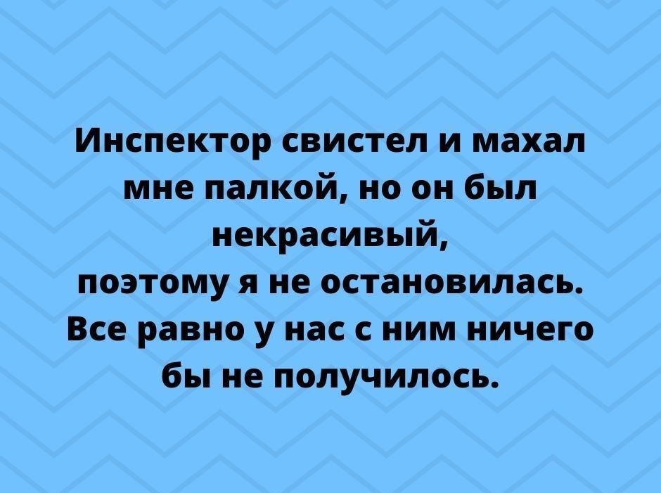 Инспектор свистел и махал мне палкой но он был некрасивый поэтому я не остановилась Все равно у нас с ним ничего бы не получилось