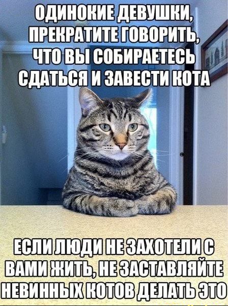 ЕШКШШ ШШШШЁЪШЁШ 8ЁВ