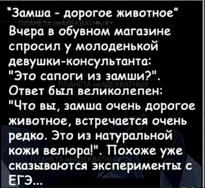 Замша дорогое животное Вчера в обувном магазине спросил у молоденькой девушки консультанта Это сапоги из замши Ответ был великолепен Что вы замша очень дорогое животное встречается очень редко Это из натуральной кожи велюра Похоже уже сказываются эксперименты с ЕГЭ