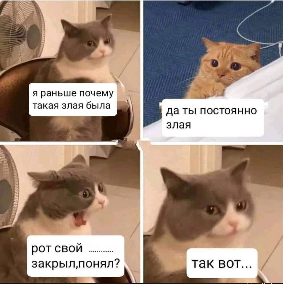 да ТЫ ПОСТОЯН НО ЗЛЭЯ рот свой закрыл понял