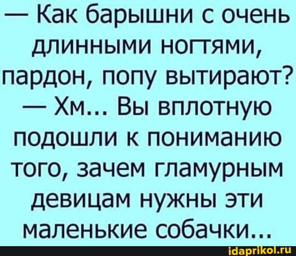 Как барышни с очень длинными ноггями пардон попу вытирают Хм Вы вплотную подошли к пониманию того зачем гламурным девицам нужны эти маленькие собачки _