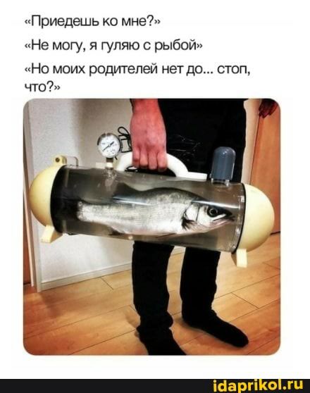 Приедешь ко мне не могу я гуляю рыбой Но моих родителей нет до стоп что