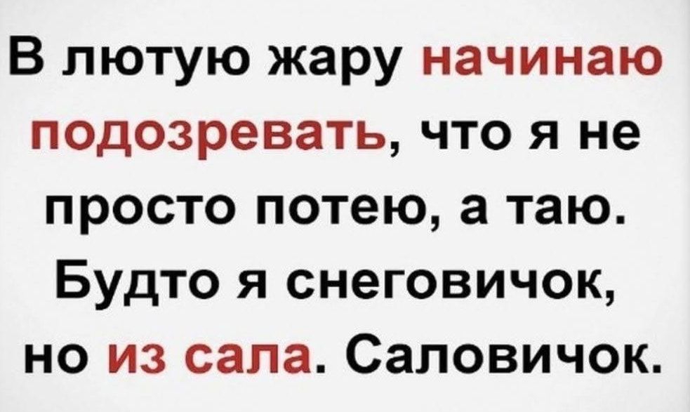 В лютую жару начинаю подозревать что я не просто потею а таю Будто я снеговичок но из сала Саловичок