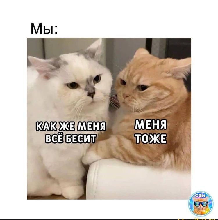 Мы: