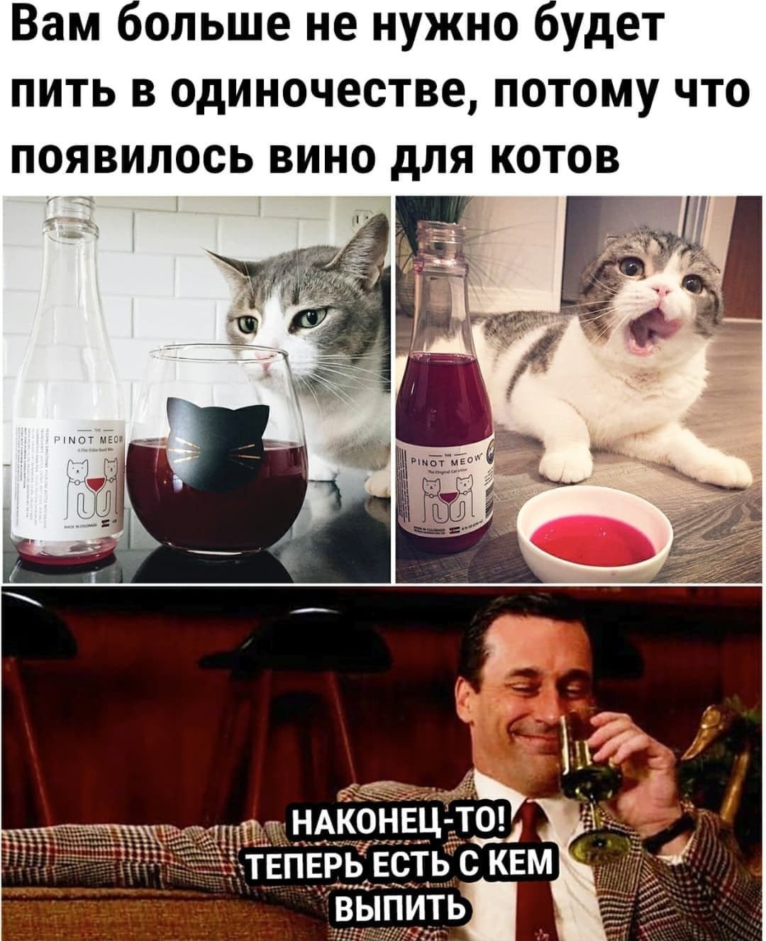 Вам больше не нужно будет пить в одиночестве потому что появилось вино для котов