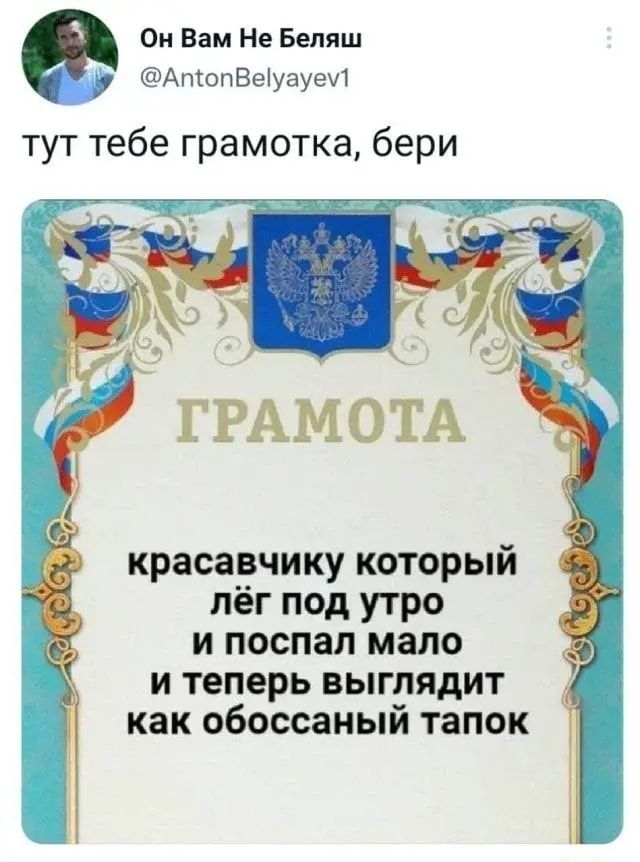 Он Вам Не Беляш АптопВеіуауеИ тут тебе грамотка бери красавчику который лёг под утро и поспал мало и теперь выглядит _ как обоссаный тапок
