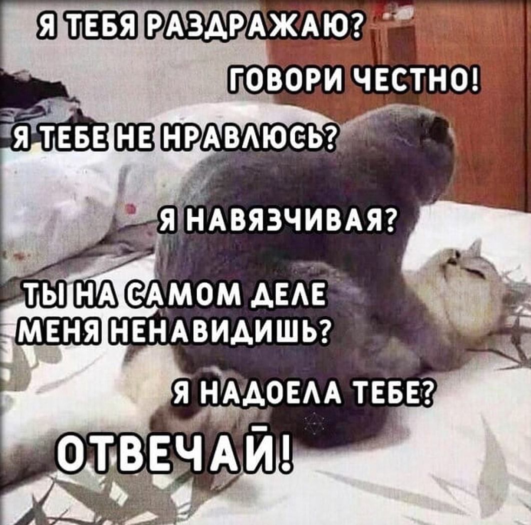 В тввя А3АРКЖЁЮ7 ГОВОРИЕАЧЕстноп я ТЕБЕАВАЮСЬ ЯРНАВЯЗЧИВАЯ шф САМОМ АЕАЕЪ НЕНАВИАИШЬ я нАщоЕАА ТЕБЕ