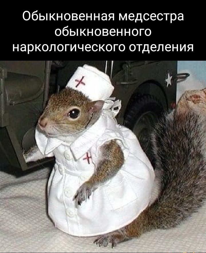 Обыкновенная медсестра обыкновенного НЭРКОЛОГИЧЭСКОГО отделения