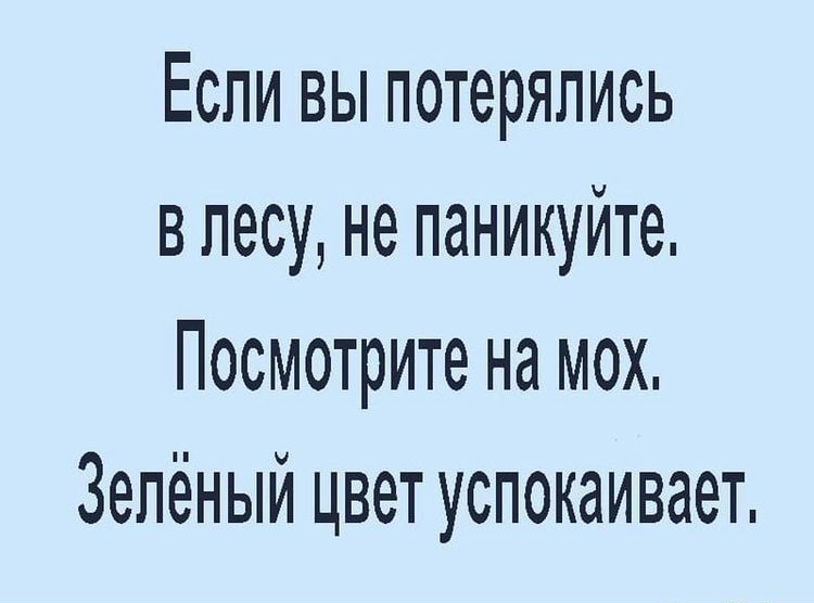 Если вы потерялись впесу не паникуйте Посмотрите на мох Зелёный цвет успокаивает