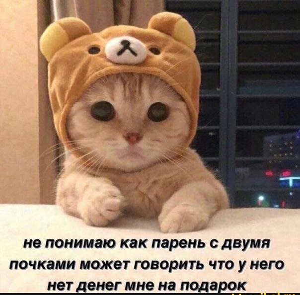 не понимаю как парень С двумя ПОЧКЗМИ МОЖЕТ ГОВОРИТЬ ЧТО У нет НЕТ денег мне НЭ пода К _